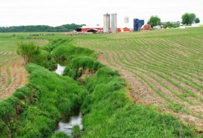 Tarım Faaliyetlerinden Kaynaklı Nitrat Kirliliğinin Önlenmesi Tebliğe Bağlandı: Bu Kapsamdaki Bakanlık Sistemine Kayıtlı Olmalıdır